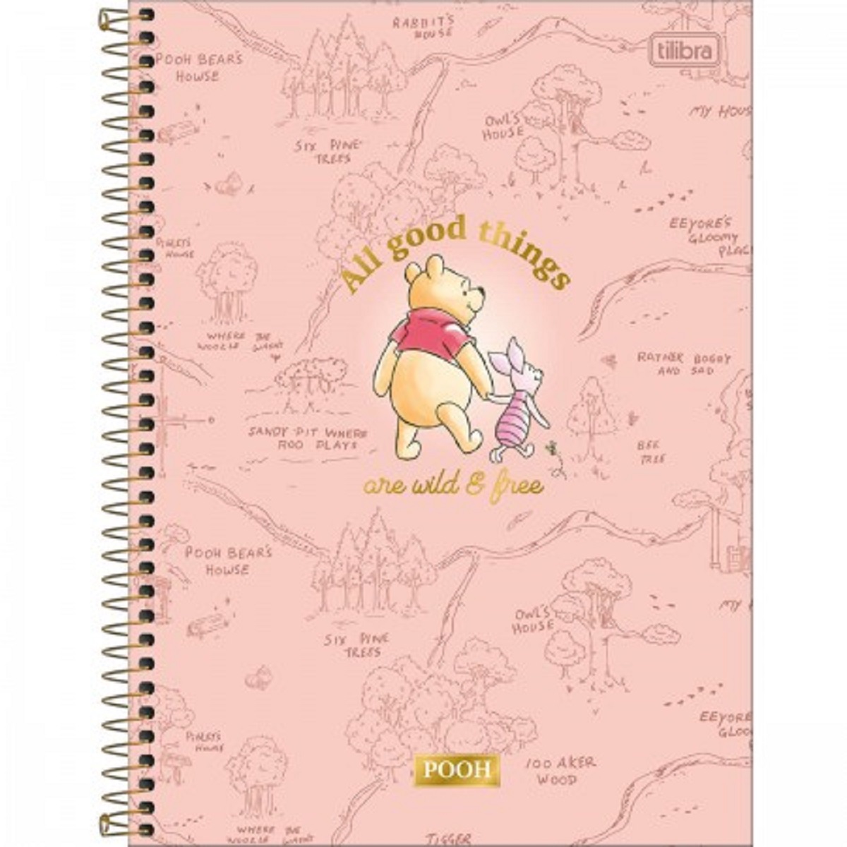 Caderno Universitário 10 Matérias TILIBRA Pooh - Imagem 7